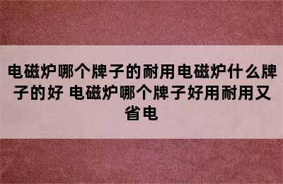 电磁炉哪个牌子的耐用电磁炉什么牌子的好 电磁炉哪个牌子好用耐用又省电